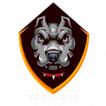 Só Raiva FC